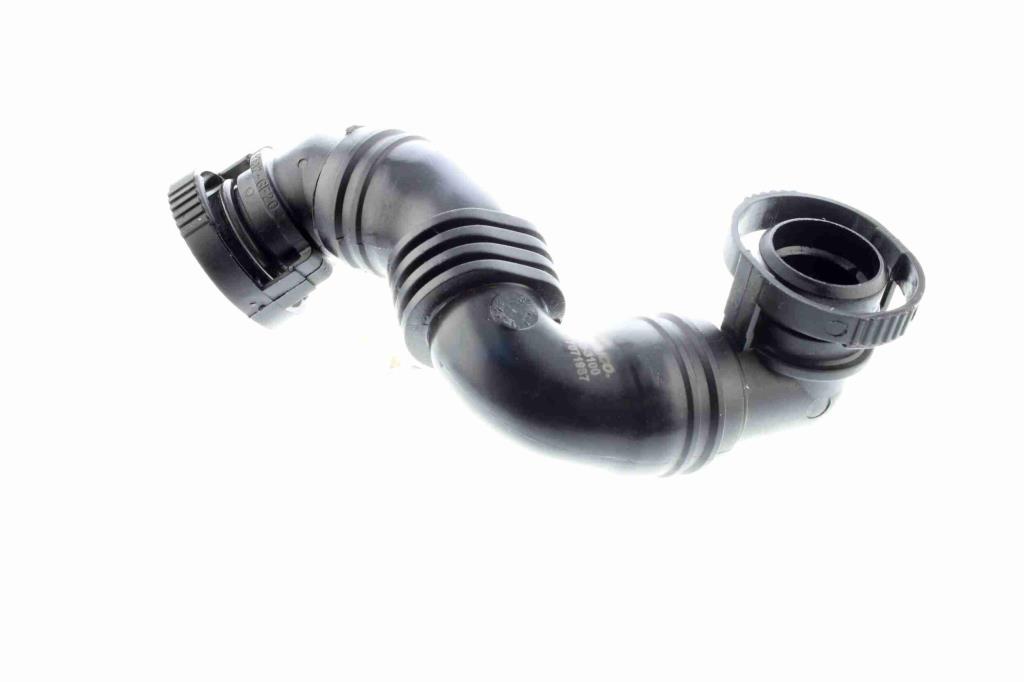 Tuyau, ventilation de carter-moteur (Tuyau de vapeur d'huile moteur) VAICO ref. V10-3100