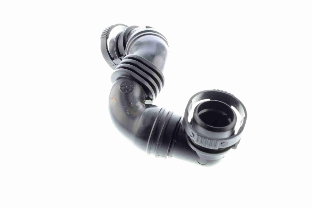 Tuyau, ventilation de carter-moteur (Tuyau de vapeur d'huile moteur) VAICO ref. V10-3100