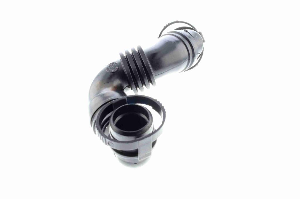 Tuyau, ventilation de carter-moteur (Tuyau de vapeur d'huile moteur) VAICO ref. V10-3100