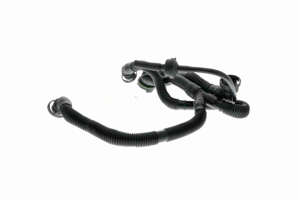 Tuyau, ventilation de carter-moteur (Tuyau de vapeur d'huile moteur) VAICO ref. V10-3505