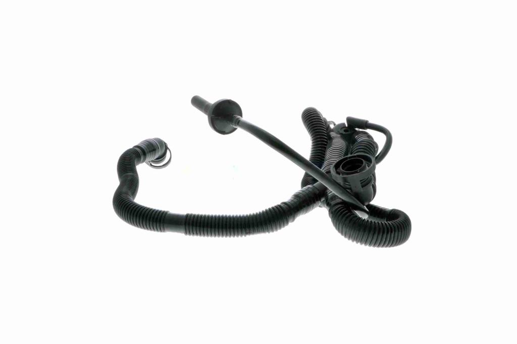 Tuyau, ventilation de carter-moteur (Tuyau de vapeur d'huile moteur) VAICO ref. V10-3505