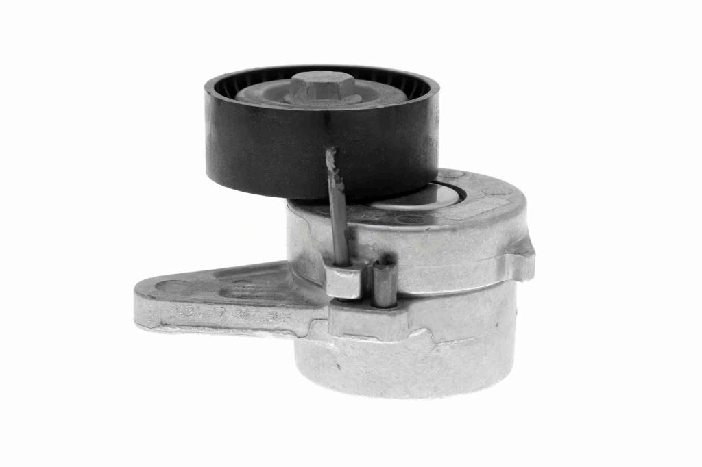 Tensor de correa, correa poli V VAICO V10-3703