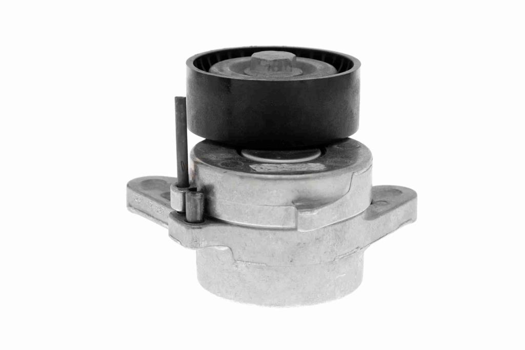Tensor de correa, correa poli V VAICO V10-3703