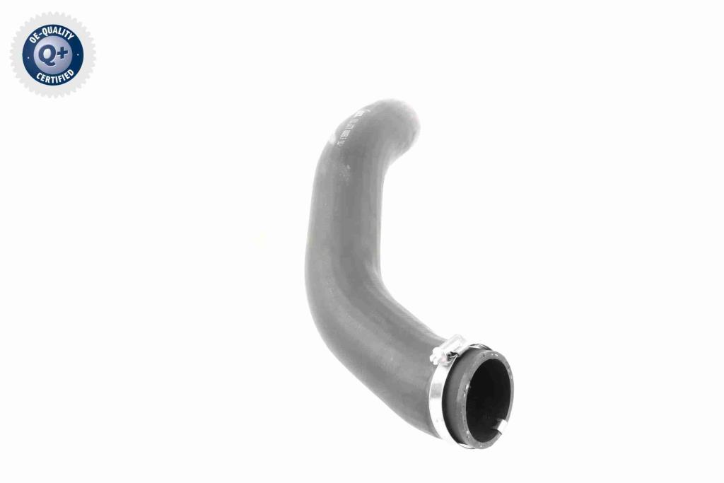 Durite de turbocompresseur (Durite de turbo) VAICO V10-3777