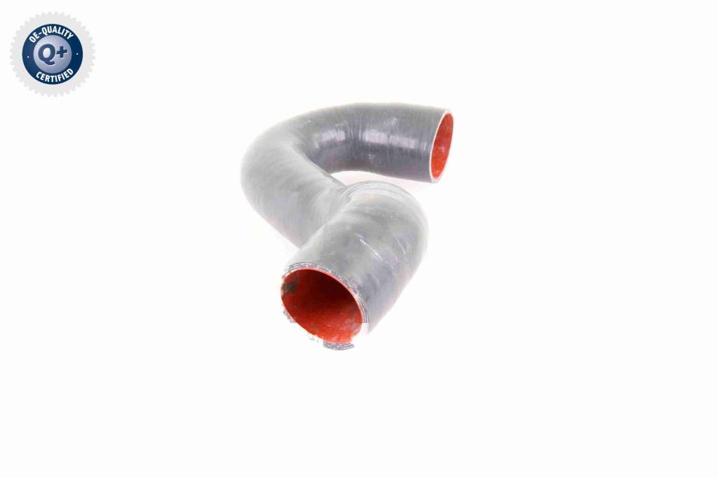 Durite de turbocompresseur (Durite de turbo) VAICO V10-3784