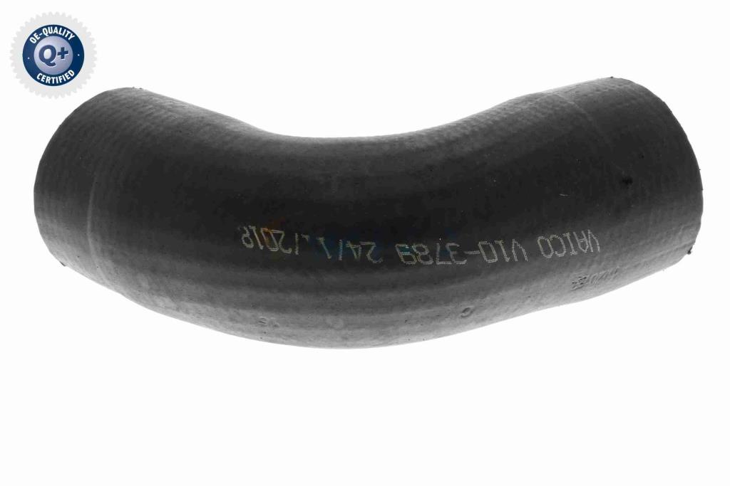 Durite de turbocompresseur (Durite de turbo) VAICO V10-3789