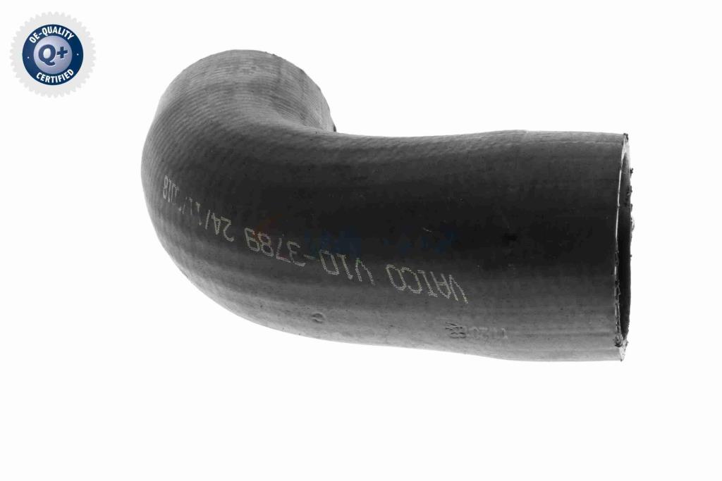 Durite de turbocompresseur (Durite de turbo) VAICO V10-3789