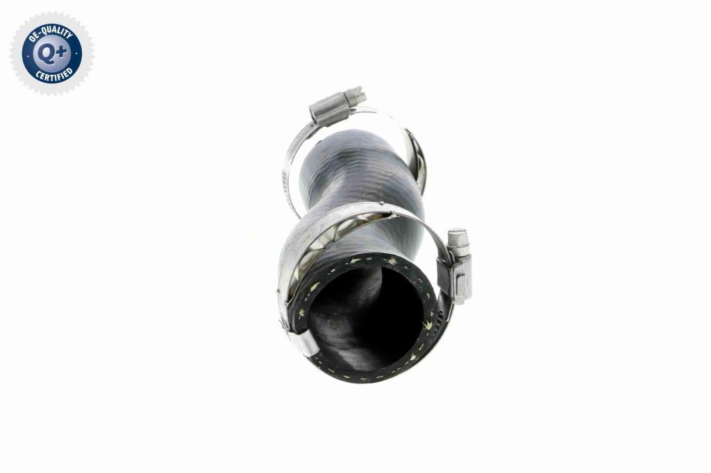 Durite de turbocompresseur (Durite de turbo) VAICO V10-3790