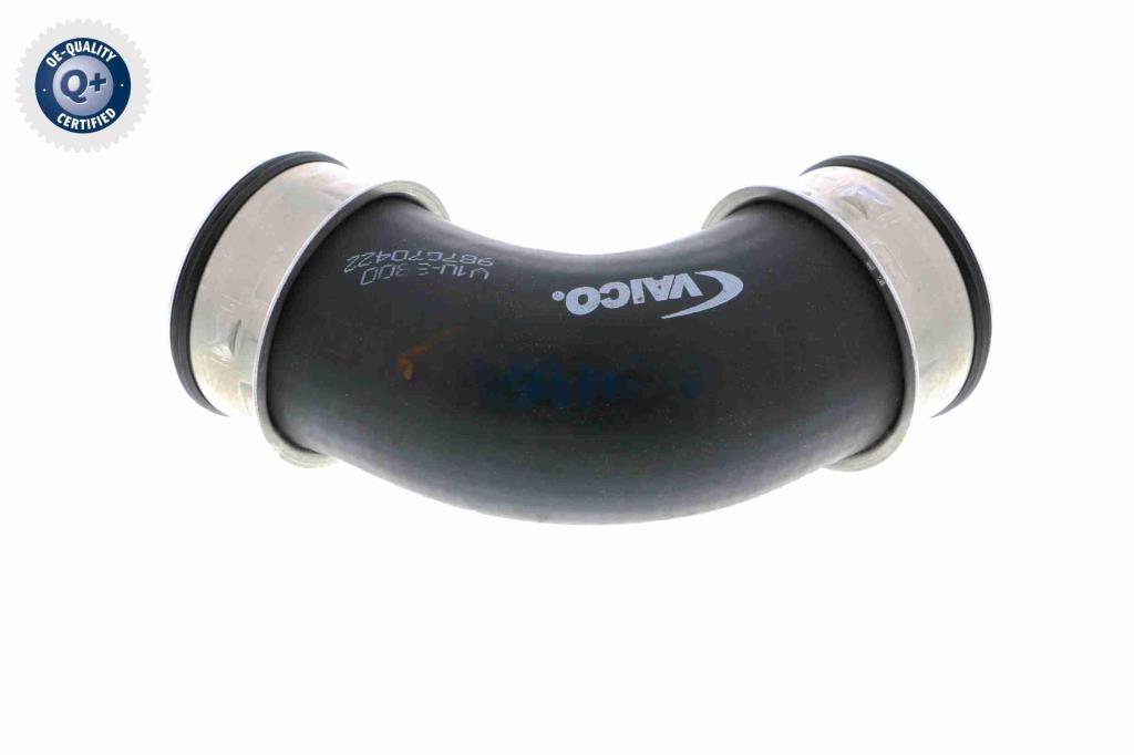 Durite de turbocompresseur (Durite de turbo) VAICO V10-3800