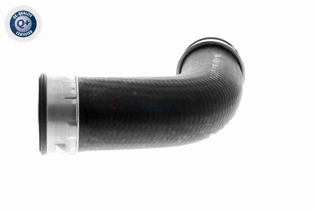 Durite de turbocompresseur (Durite de turbo) VAICO V10-3801
