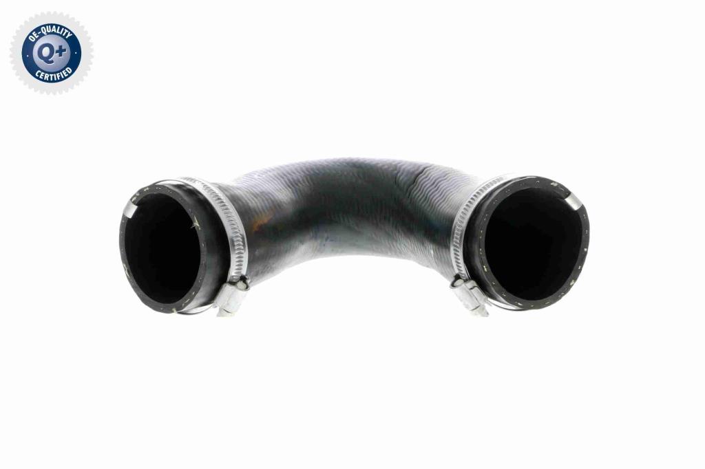 Durite de turbocompresseur (Durite de turbo) VAICO V10-3806