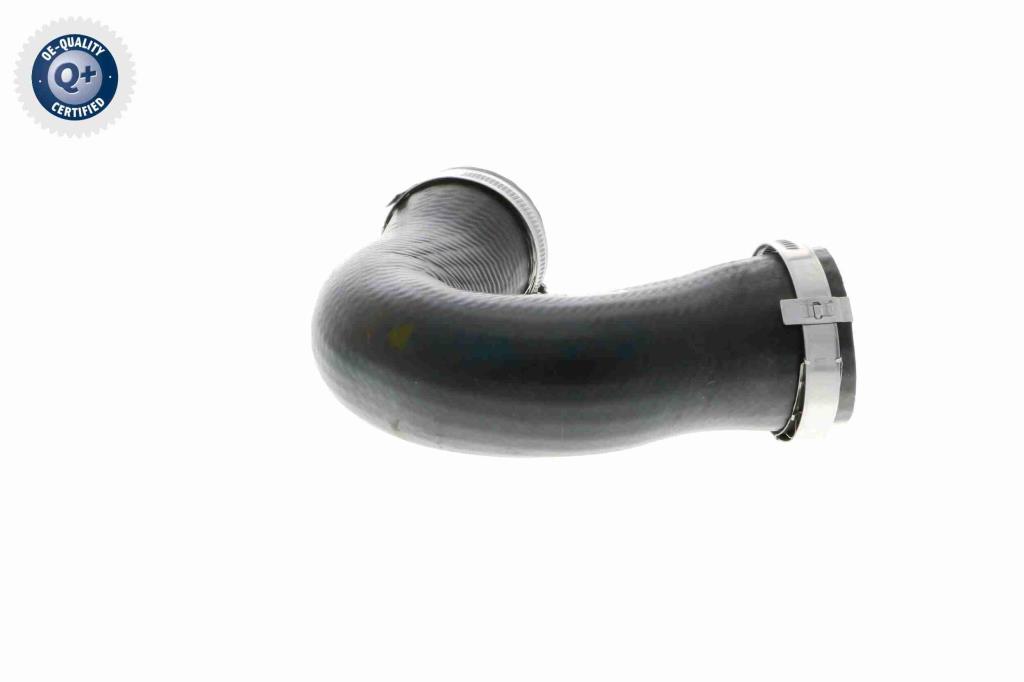 Durite de turbocompresseur (Durite de turbo) VAICO V10-3806