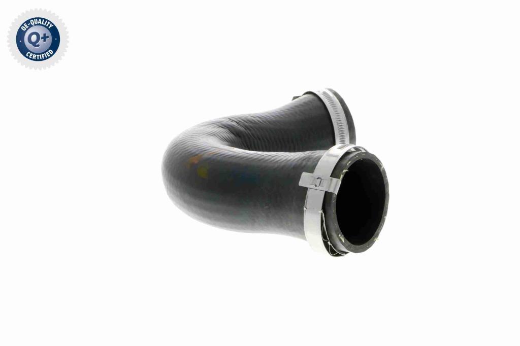 Durite de turbocompresseur (Durite de turbo) VAICO V10-3806