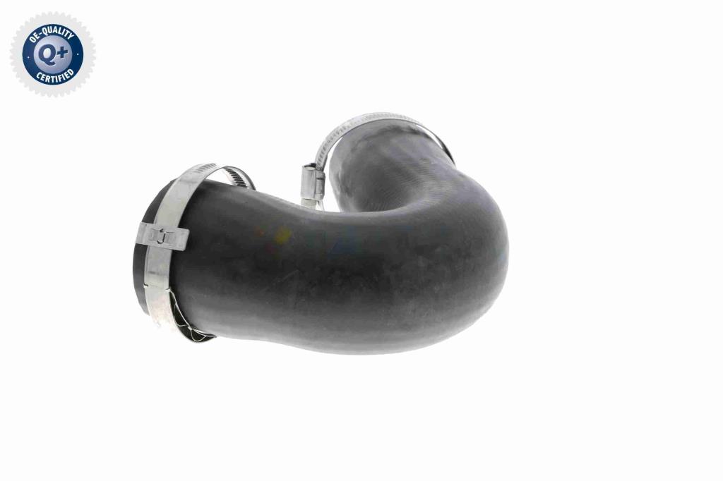 Durite de turbocompresseur (Durite de turbo) VAICO V10-3808