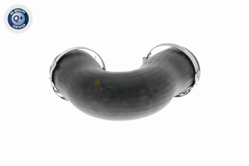 Durite de turbocompresseur (Durite de turbo) VAICO V10-3808