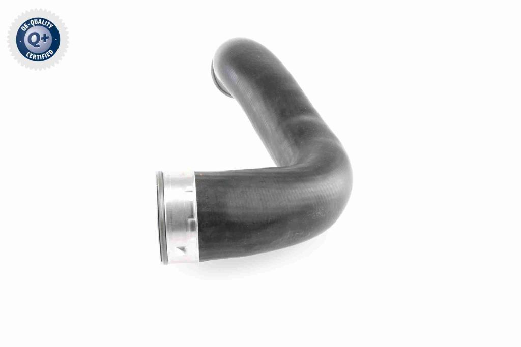 Durite de turbocompresseur (Durite de turbo) VAICO V10-3818