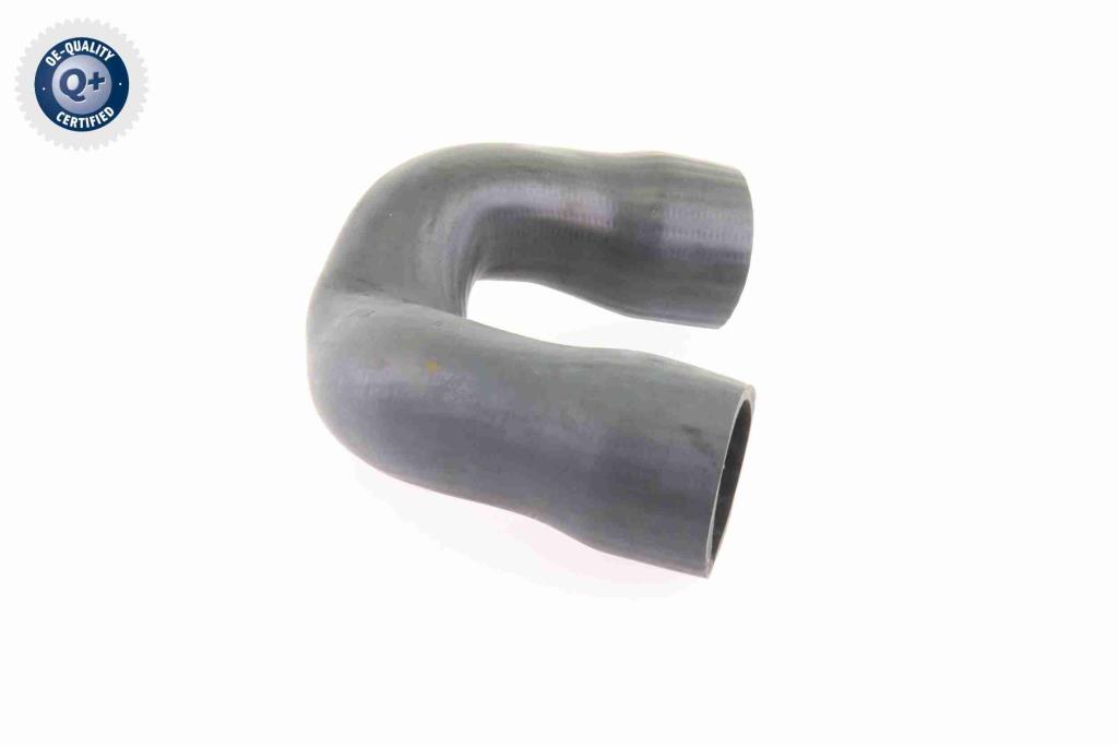 Mangueira do turbocompressor VAICO V10-3821