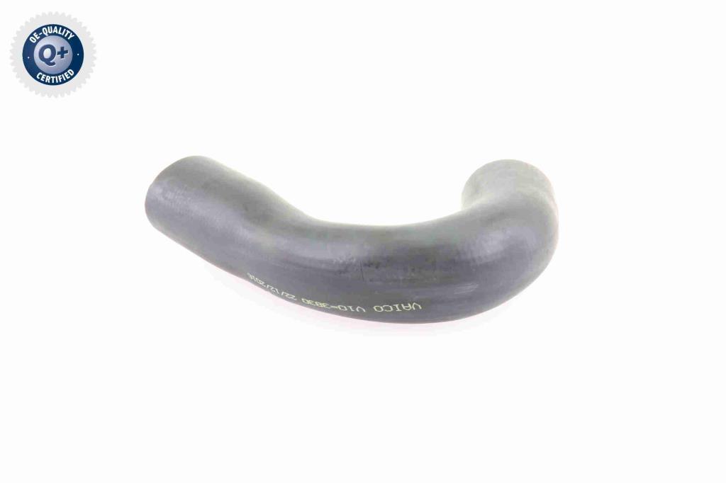 Durite de turbocompresseur (Durite de turbo) VAICO V10-3830