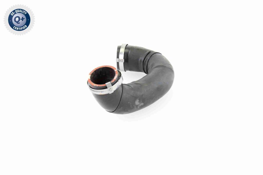 Durite de turbocompresseur (Durite de turbo) VAICO V10-4381