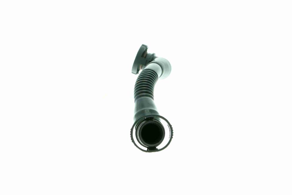 Tuyau, ventilation de carter-moteur (Tuyau de vapeur d'huile moteur) VAICO V10-4693