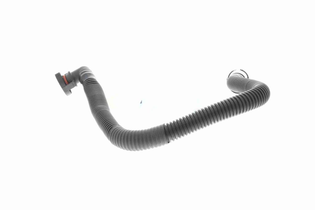 Tuyau, ventilation de carter-moteur (Tuyau de vapeur d'huile moteur) VAICO V10-5454