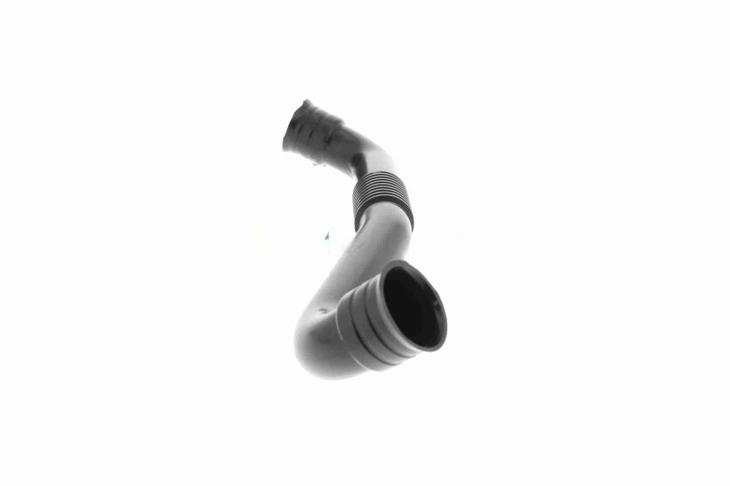 Tuyau, ventilation de carter-moteur (Tuyau de vapeur d'huile moteur) VAICO ref. V10-5464