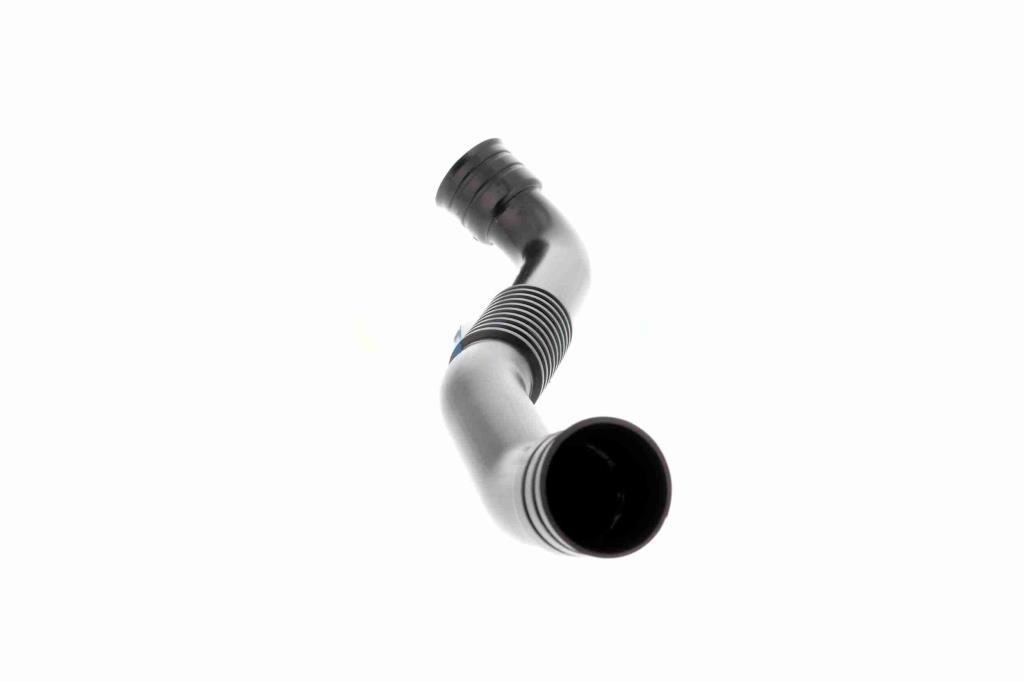 Tuyau, ventilation de carter-moteur (Tuyau de vapeur d'huile moteur) VAICO ref. V10-5465