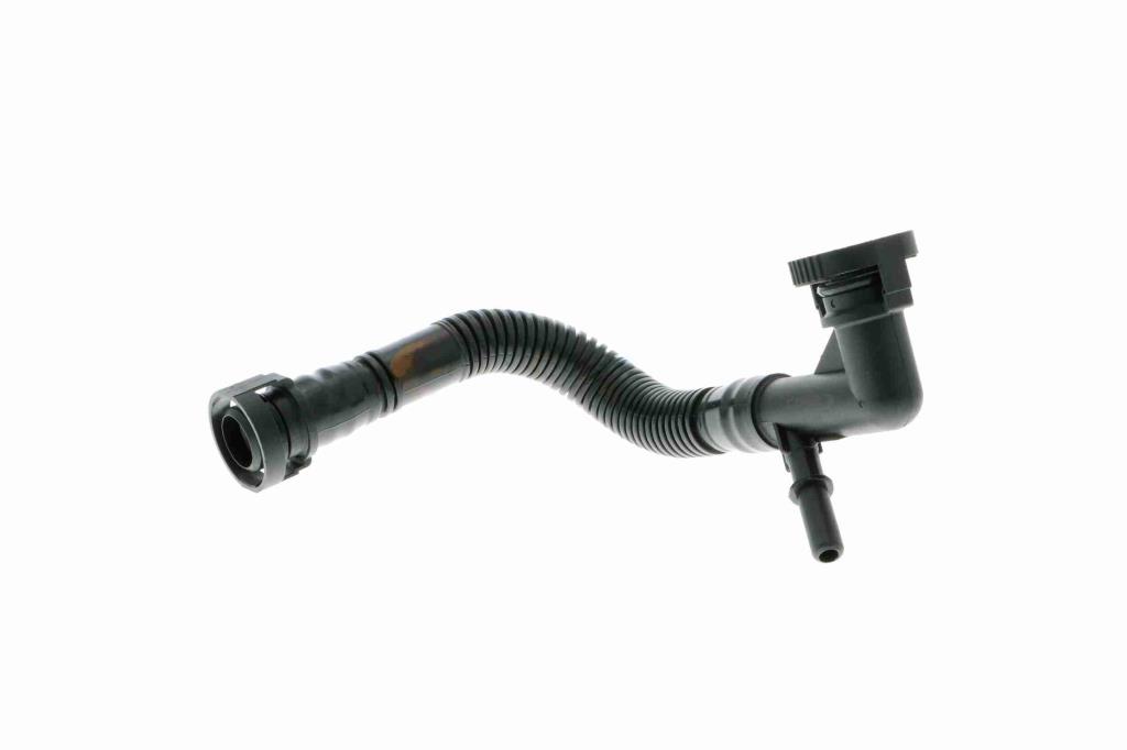 Tuyau, ventilation de carter-moteur (Tuyau de vapeur d'huile moteur) VAICO ref. V20-0784
