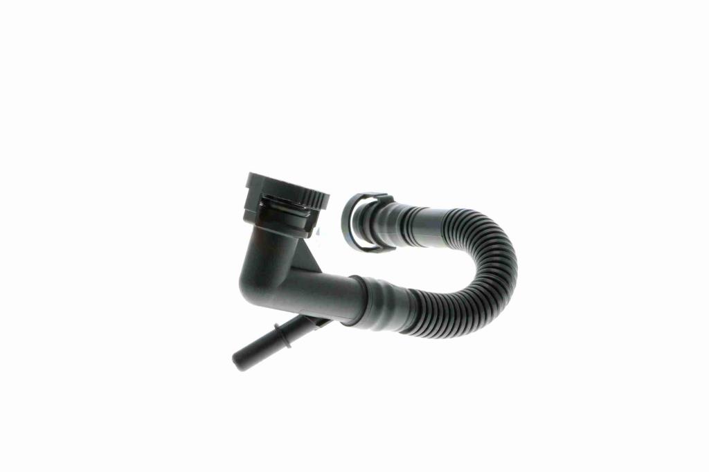 Tuyau, ventilation de carter-moteur (Tuyau de vapeur d'huile moteur) VAICO ref. V20-0784