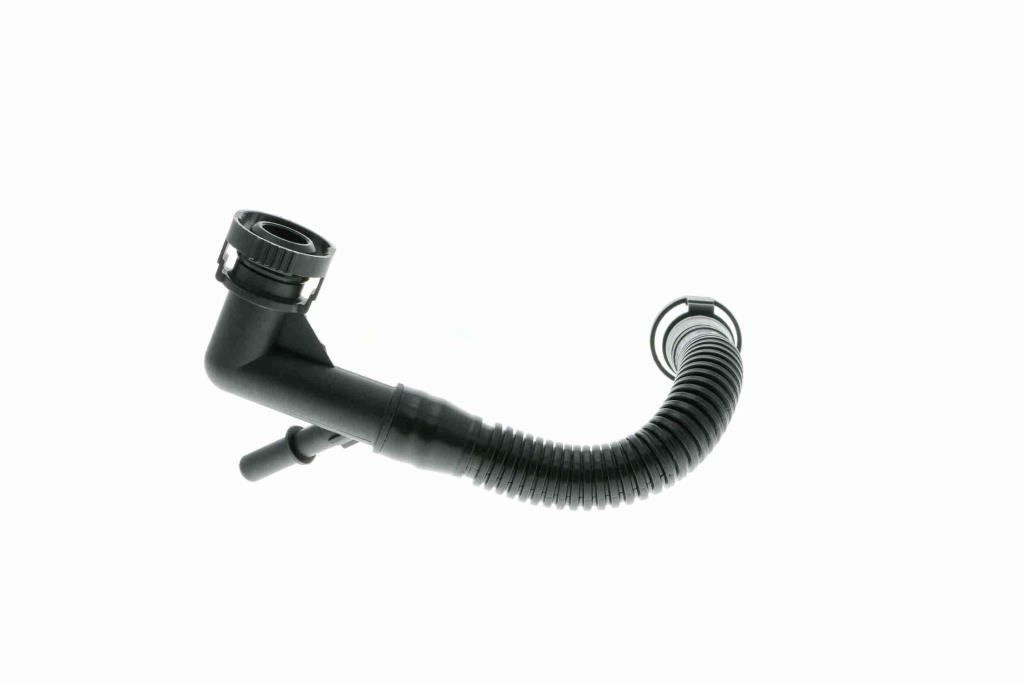 Tuyau, ventilation de carter-moteur (Tuyau de vapeur d'huile moteur) VAICO ref. V20-0784
