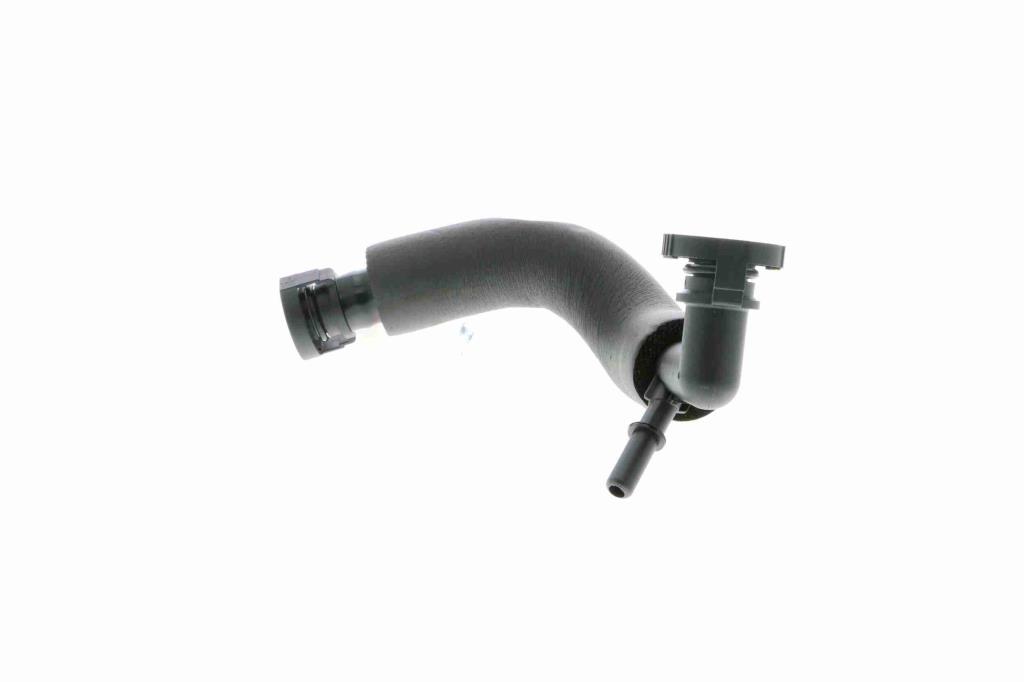 Tuyau, ventilation de carter-moteur (Tuyau de vapeur d'huile moteur) VAICO V20-1563
