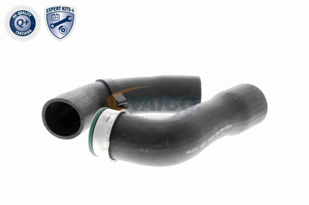 Durite de turbocompresseur (Durite de turbo) VAICO V20-1615
