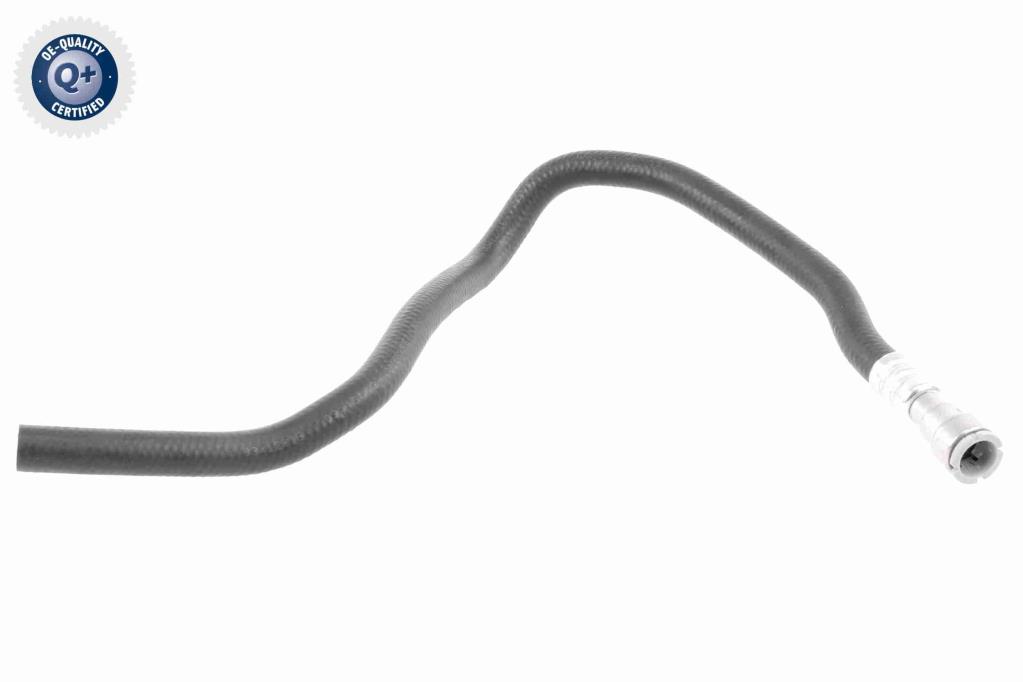 Butée hydraulique Coupé