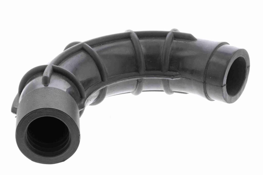 Butée hydraulique Coupé