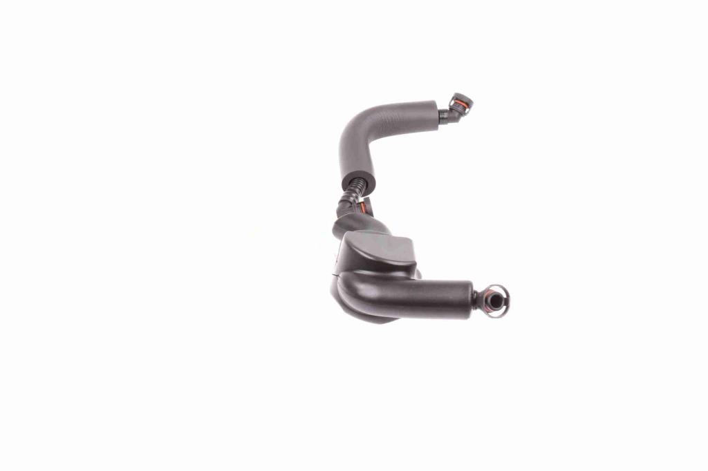 Tuyau, ventilation de carter-moteur (Tuyau de vapeur d'huile moteur) VAICO ref. V20-2652