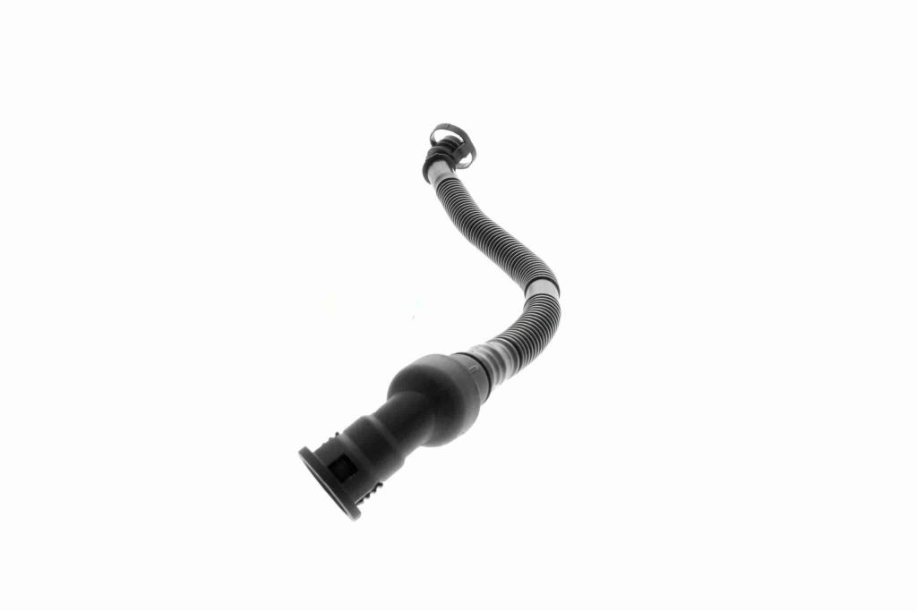 Tuyau, ventilation de carter-moteur (Tuyau de vapeur d'huile moteur) VAICO ref. V20-2731