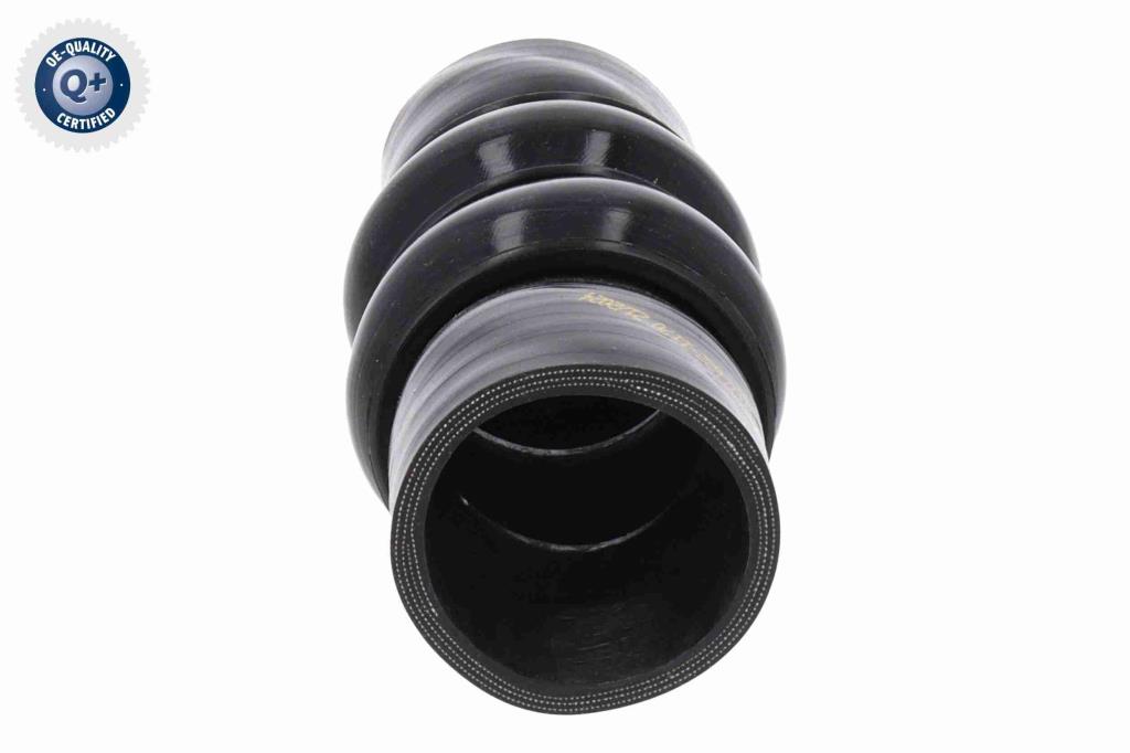 Durite de turbocompresseur (Durite de turbo) VAICO V22-1170