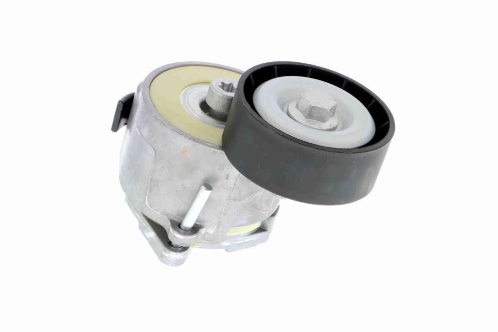 Tensor de correa, correa poli V VAICO V24-0635