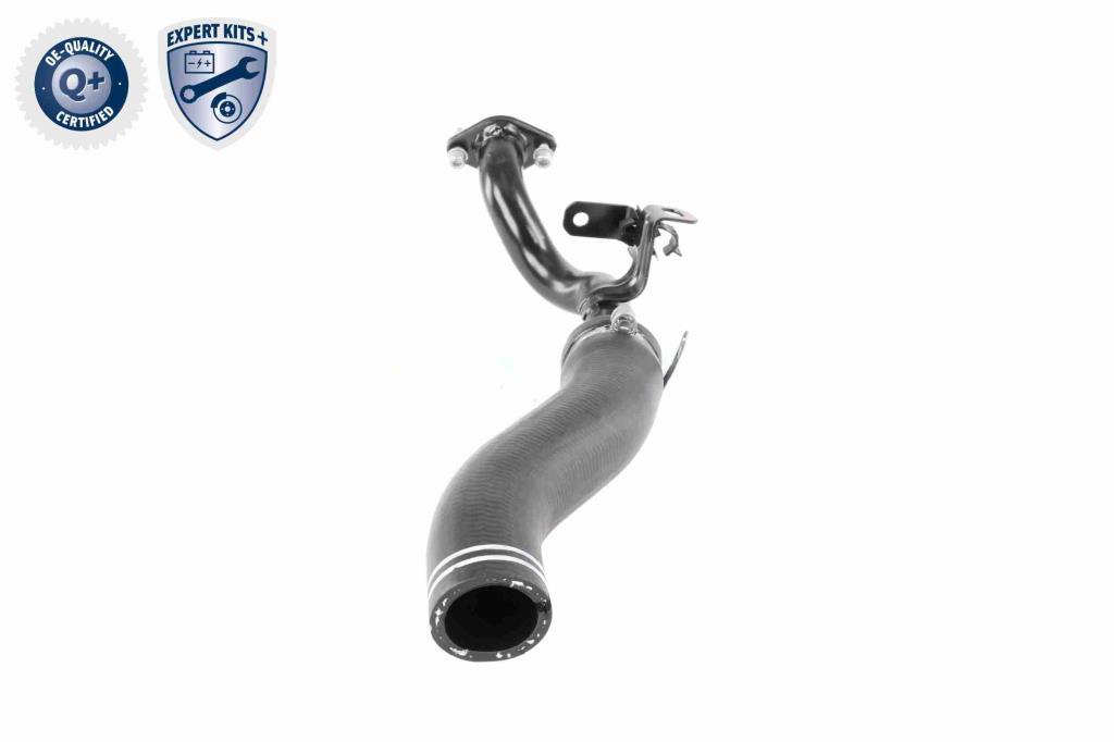 Durite de turbocompresseur (Durite de turbo) VAICO V24-0722