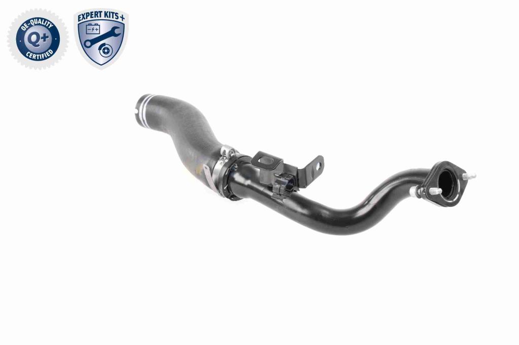 Durite de turbocompresseur (Durite de turbo) VAICO V24-0722