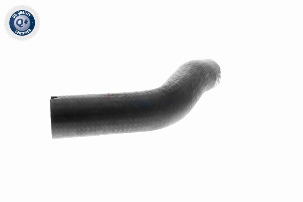 Durite de turbocompresseur (Durite de turbo) VAICO V24-0733