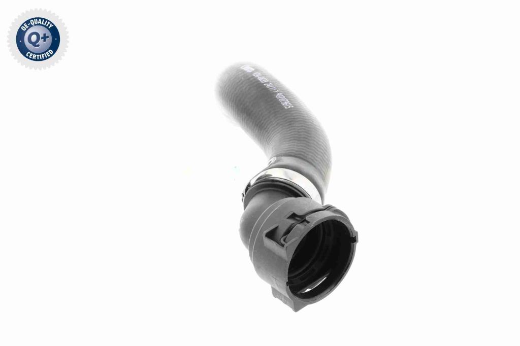 Durite de radiateur (Durite de refroidissement) VAICO ref. V24-0833