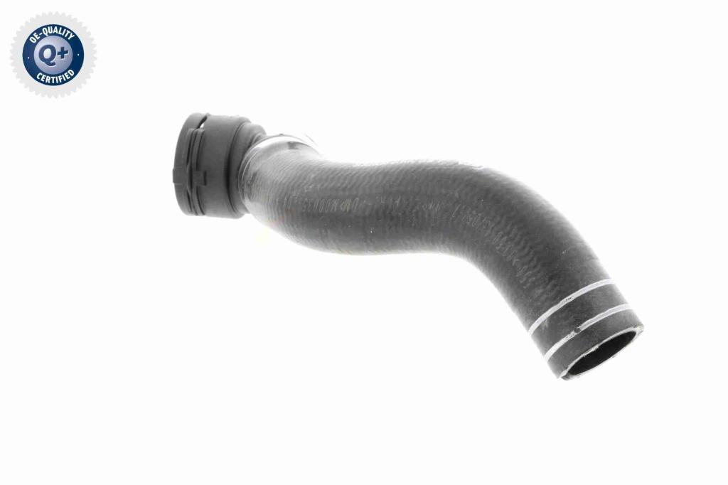Durite de radiateur (Durite de refroidissement) VAICO ref. V24-0833