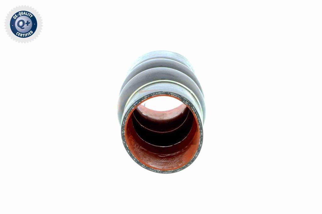 Durite de turbocompresseur (Durite de turbo) VAICO V25-0949