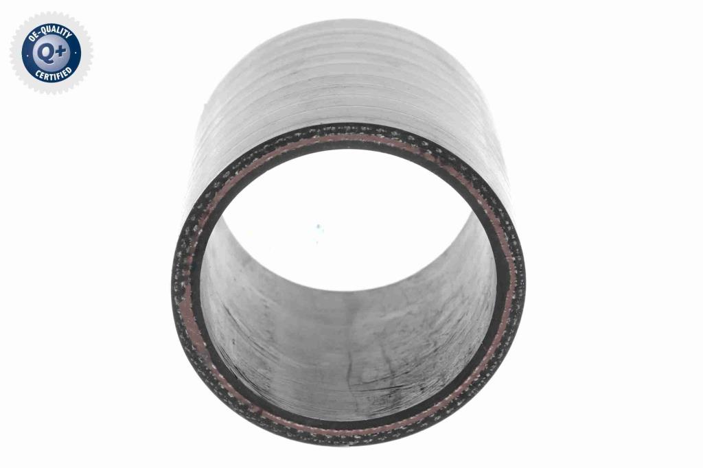 Durite de turbocompresseur (Durite de turbo) VAICO V25-1019