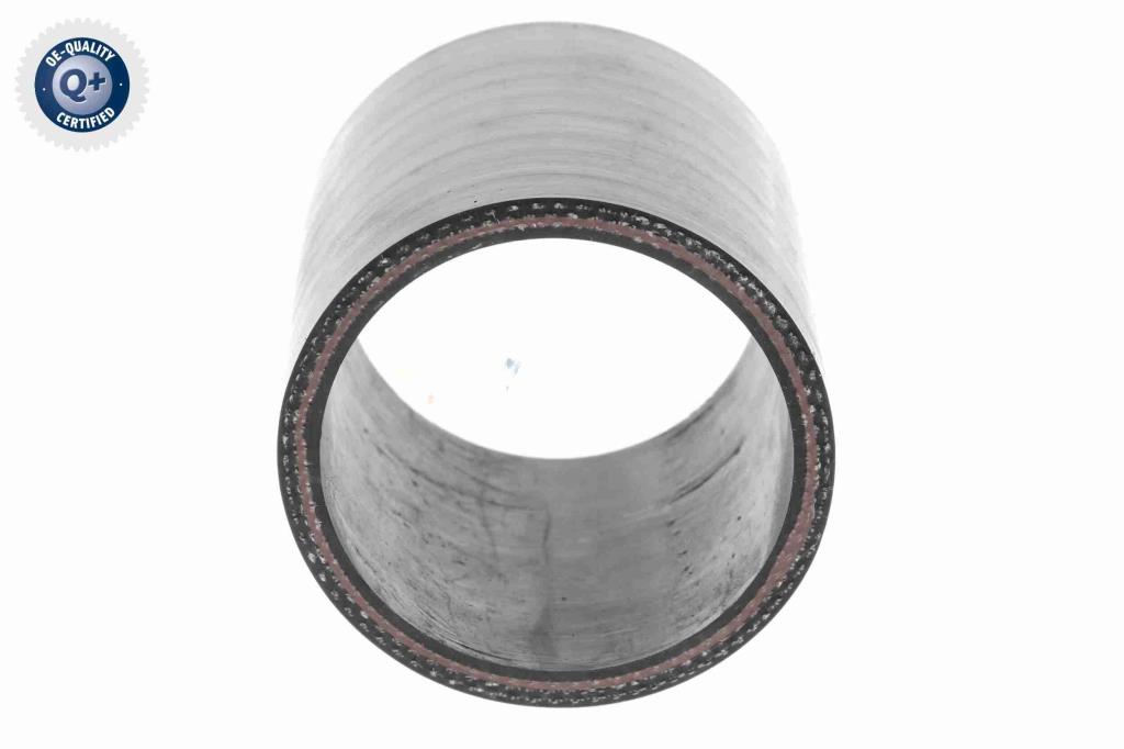 Durite de turbocompresseur (Durite de turbo) VAICO V25-1019