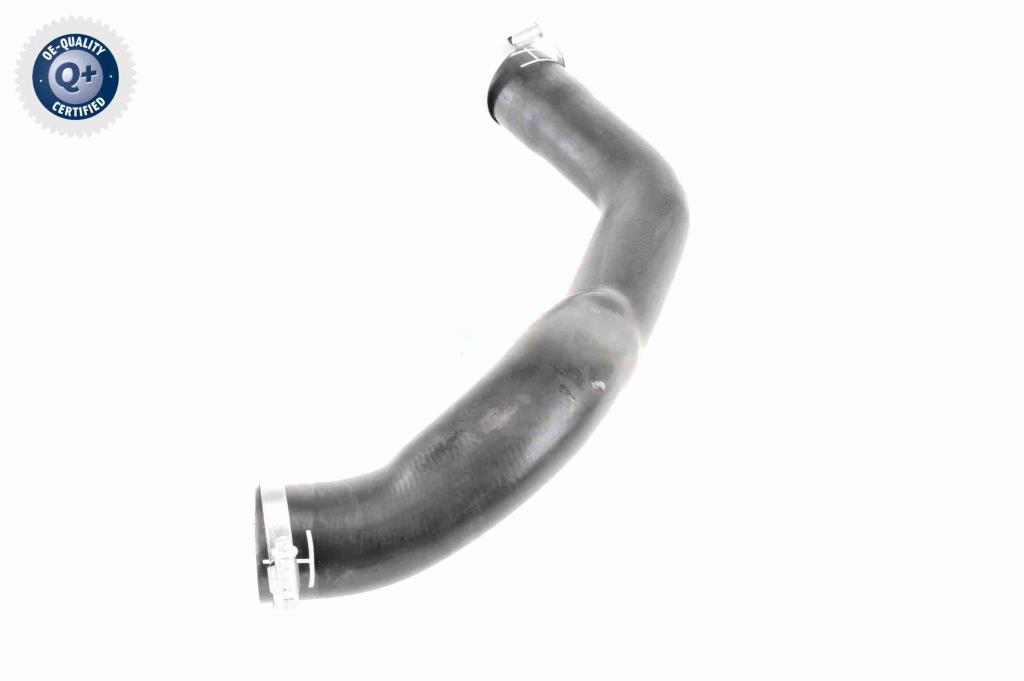 Durite de turbocompresseur (Durite de turbo) VAICO V25-1022