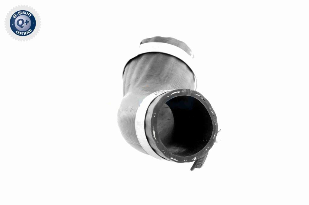 Durite de turbocompresseur (Durite de turbo) VAICO V25-1051
