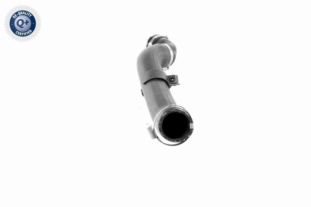 Durite de turbocompresseur (Durite de turbo) VAICO V25-1176