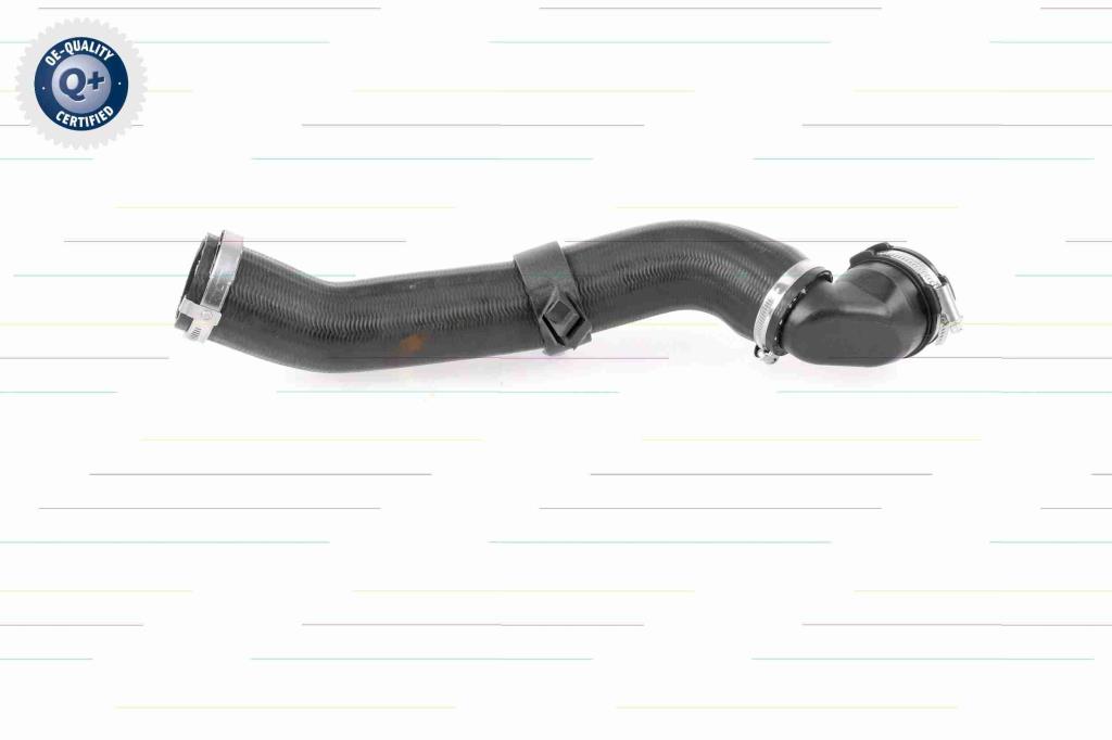 Durite de turbocompresseur (Durite de turbo) VAICO V25-1176